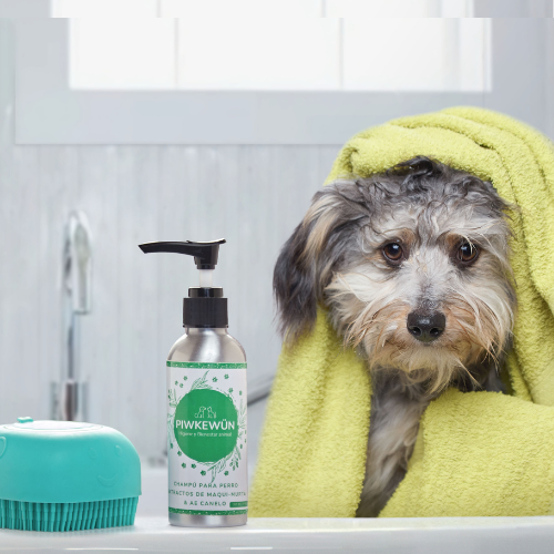 Shampoo Mantención Perro - Maqui, Murta & AE Canelo