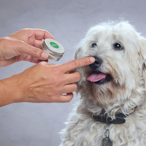 Pomada Reparadora Perros y Gatos - Patitas & Nariz
