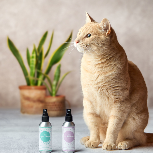 OM Spray Relajante Gatos y Perros - Hidrolatos Lavanda & Manzanilla