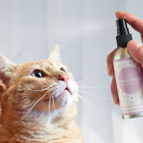 OM Spray Relajante Gatos y Perros - Hidrolatos Lavanda & Manzanilla